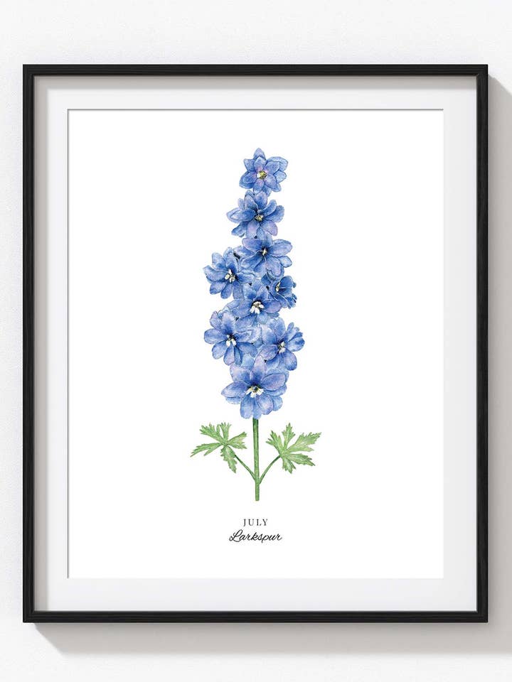 July Birth Flower Print, Larkspur for wholesale by Tammy Speed Design