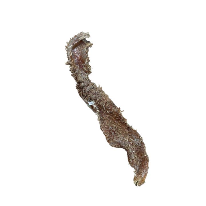 Ancestral Raw Nutrition - Wholesale Pet Treats - Dog - Dehydrated Beef Green Tripe 4 Oz Pack3