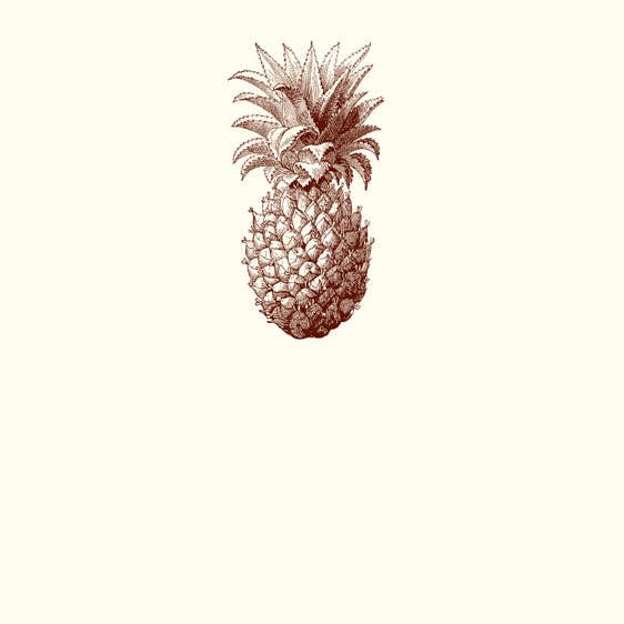 Carton de place Pineapple pour la vente par Alexa Pulitzer