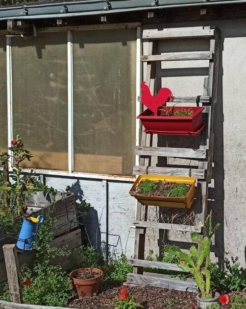 IDfer - Wholesale Outdoor Ornament/Decor - Rooster Mister Panache0