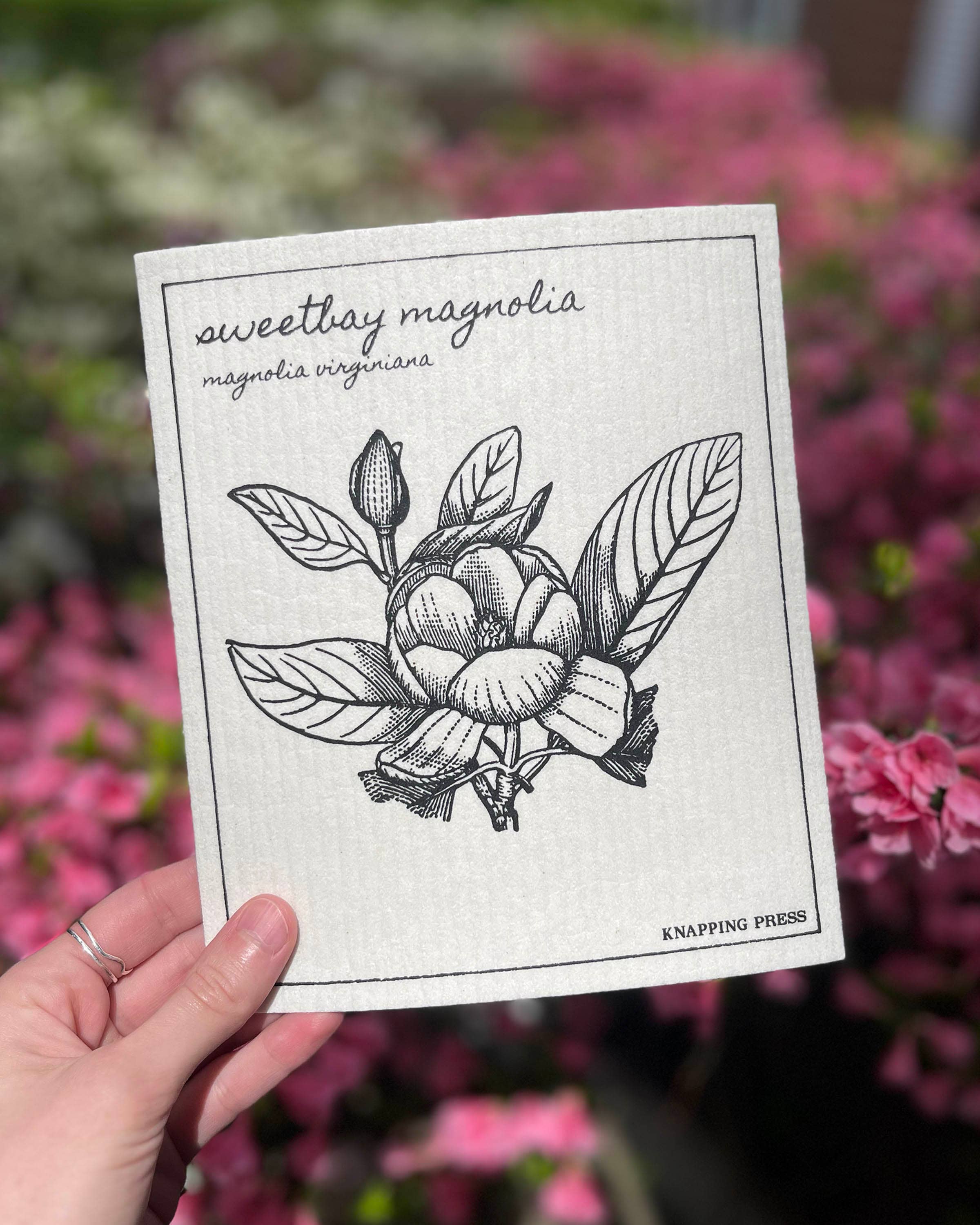 Knapping Press - Wholesale Cleaning Cloth - Swedish Dishcloth - Sweetbay Magnolia1