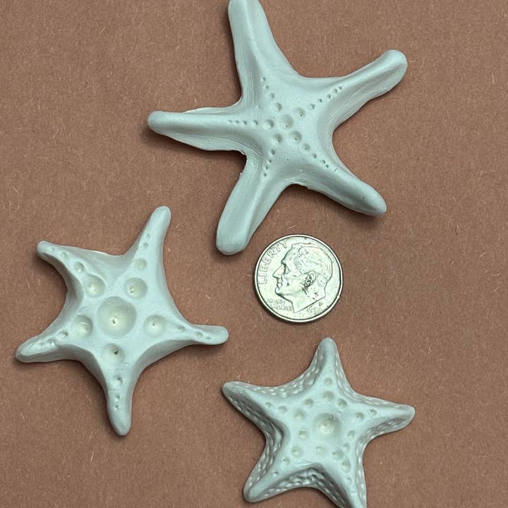 Three Little Teapots - Wholesale Kitchen Tool/Gadget - Starfish brown sugar keeper4