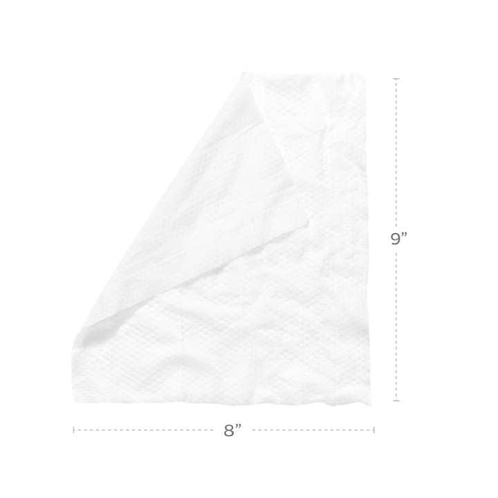 Pet Parents® - Wholesale Pet Grooming Aid - Dog - Pet WiPees™ Allergy Dog Wipes, 100ct2