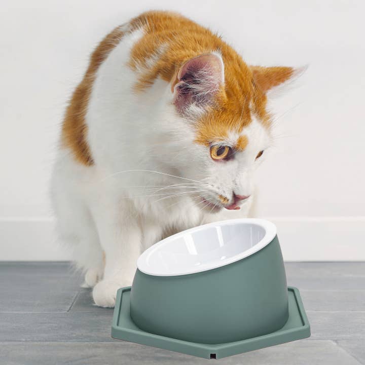 Nobleza - Wholesale Pet Bowl - Cat - Nobleza - Feeding Bowl for Cats