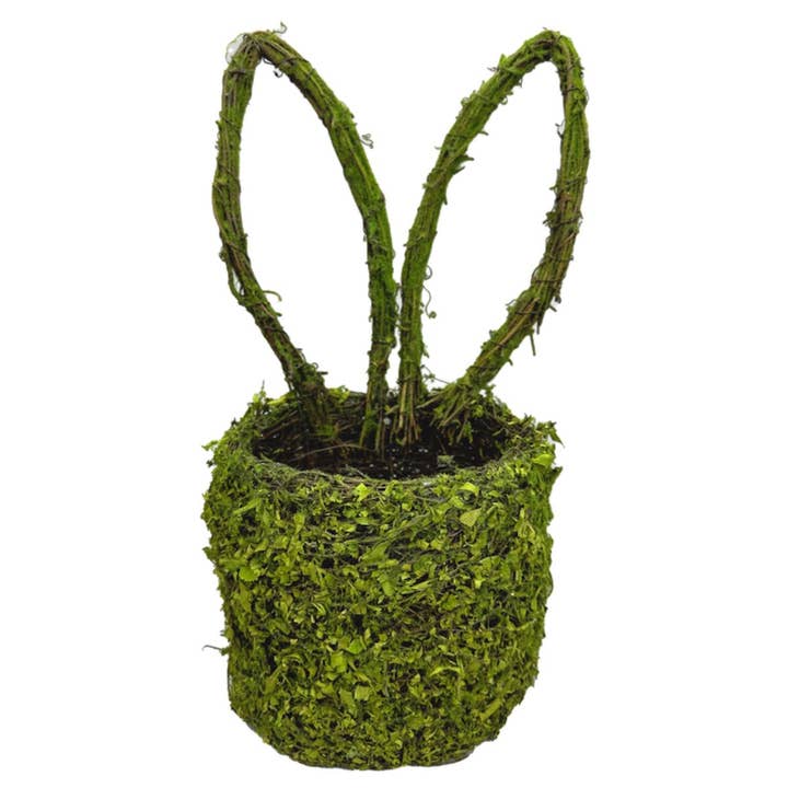 14 x 6 Inch Bunny Ears Basket in Green Moss and Vine 63656GN for wholesale by Trendy tree