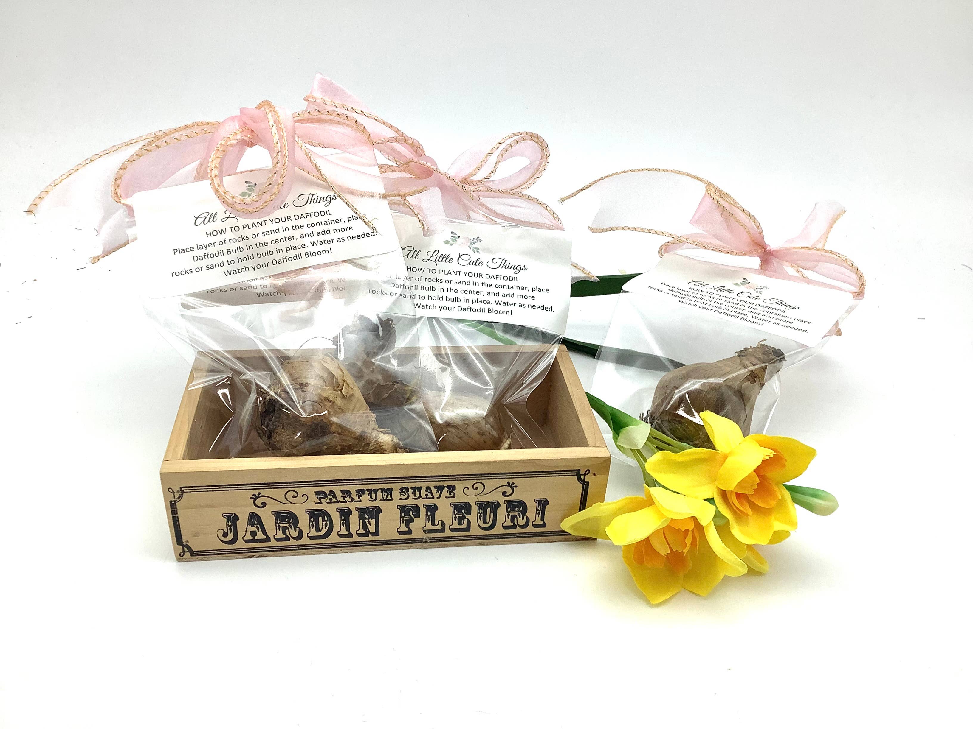 All Little Cute Things – wholesale Frön – Holländsk påskliljelök för plantering, presentgåva till tesällskap6