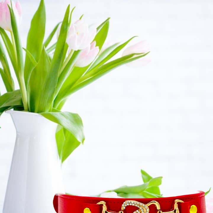 PupWiser - Wholesale Pet Collar - Dog - "D" Diamond Handmade Leather Dog Collar