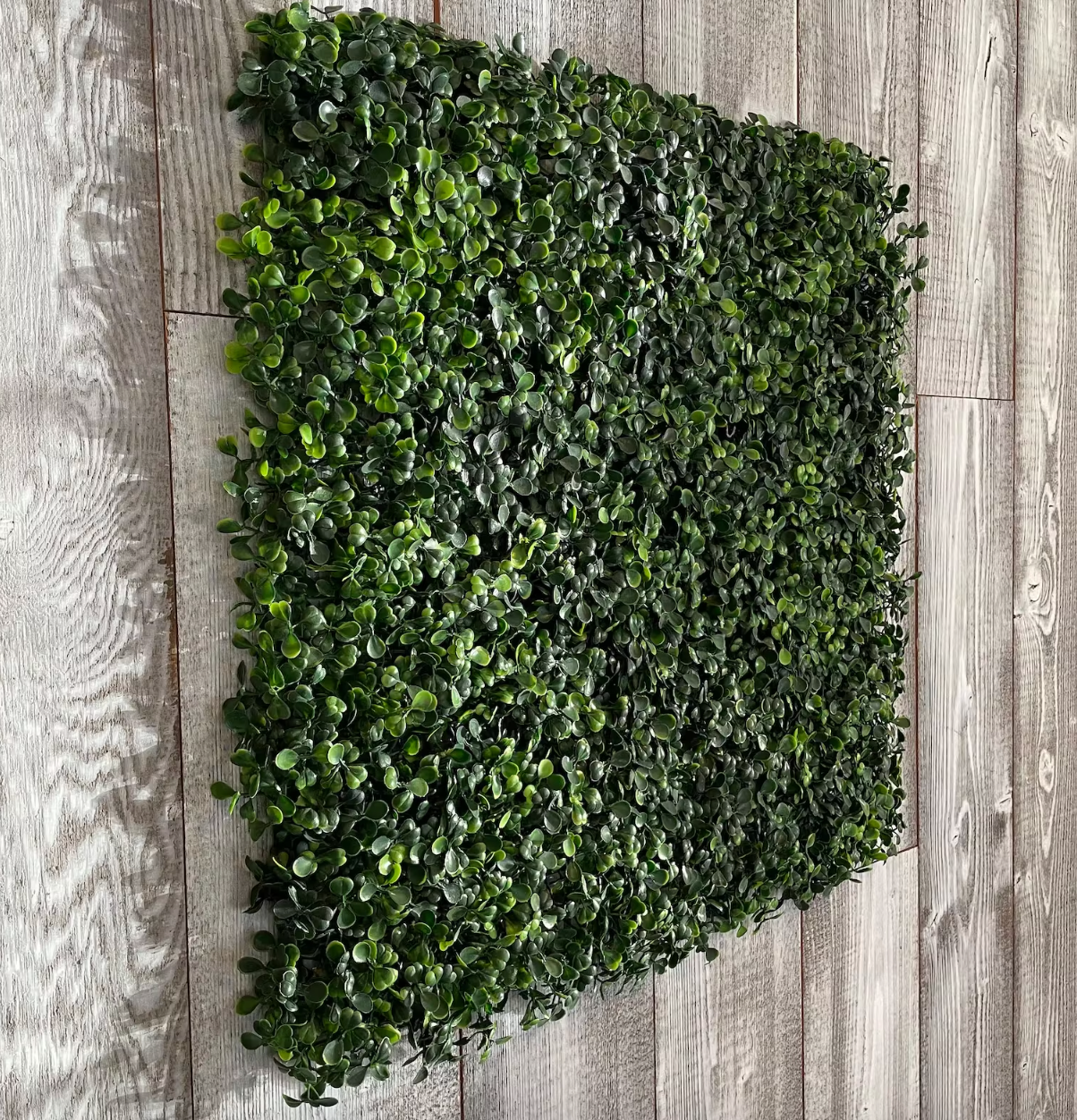 Westcoast Balloon Supply – wholesale Artificial plant – Boxwood Wall Panels - Original1
