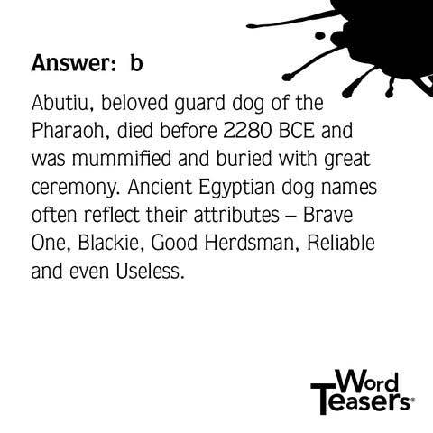 WordTeasers - Wholesale Card Game - About Dogs2