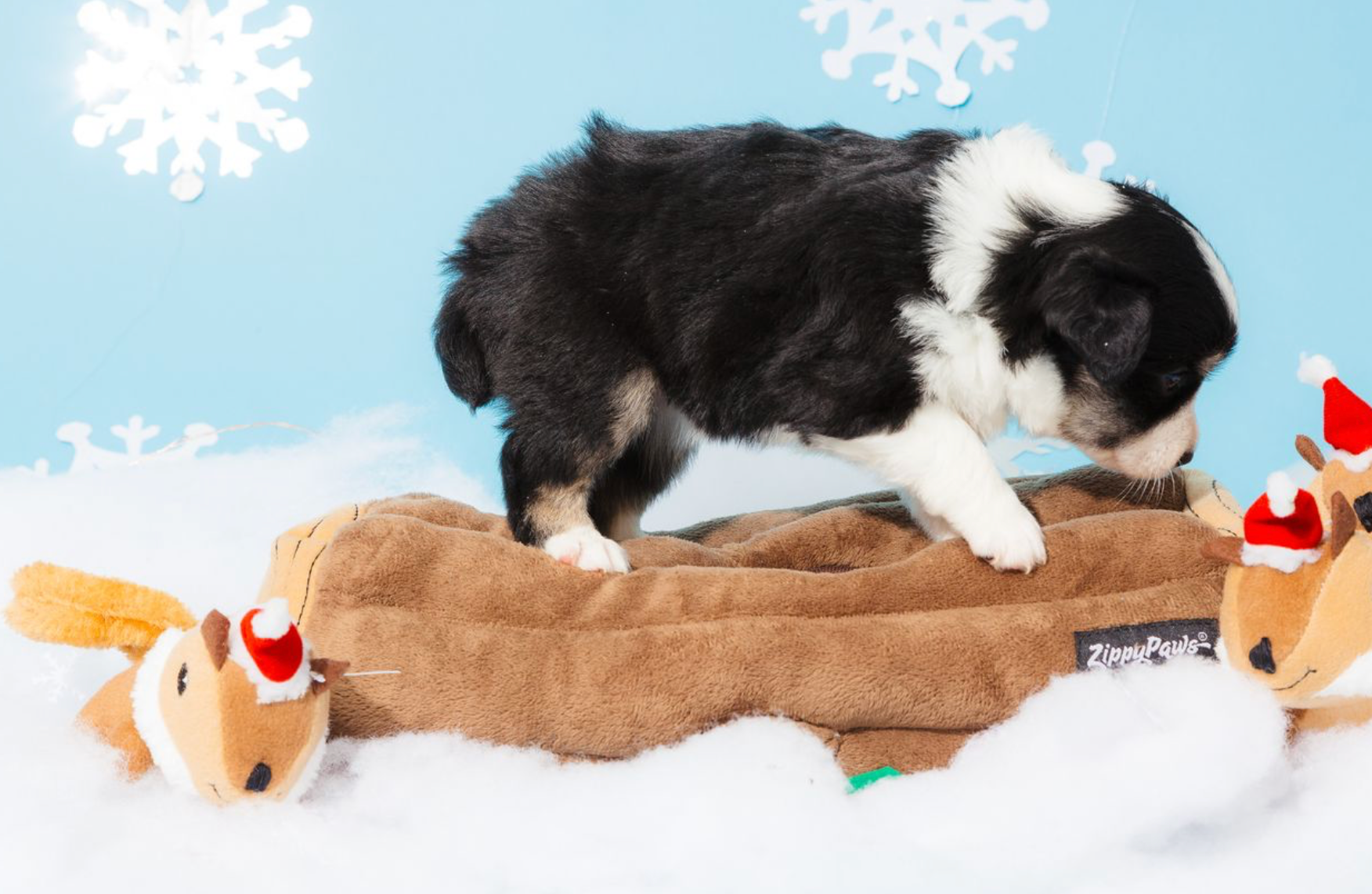 ZippyPaws - Vente Peluche – chien - Jouet de Noël Holiday Zippy Burrow - Bûche de Yule pour chiens6