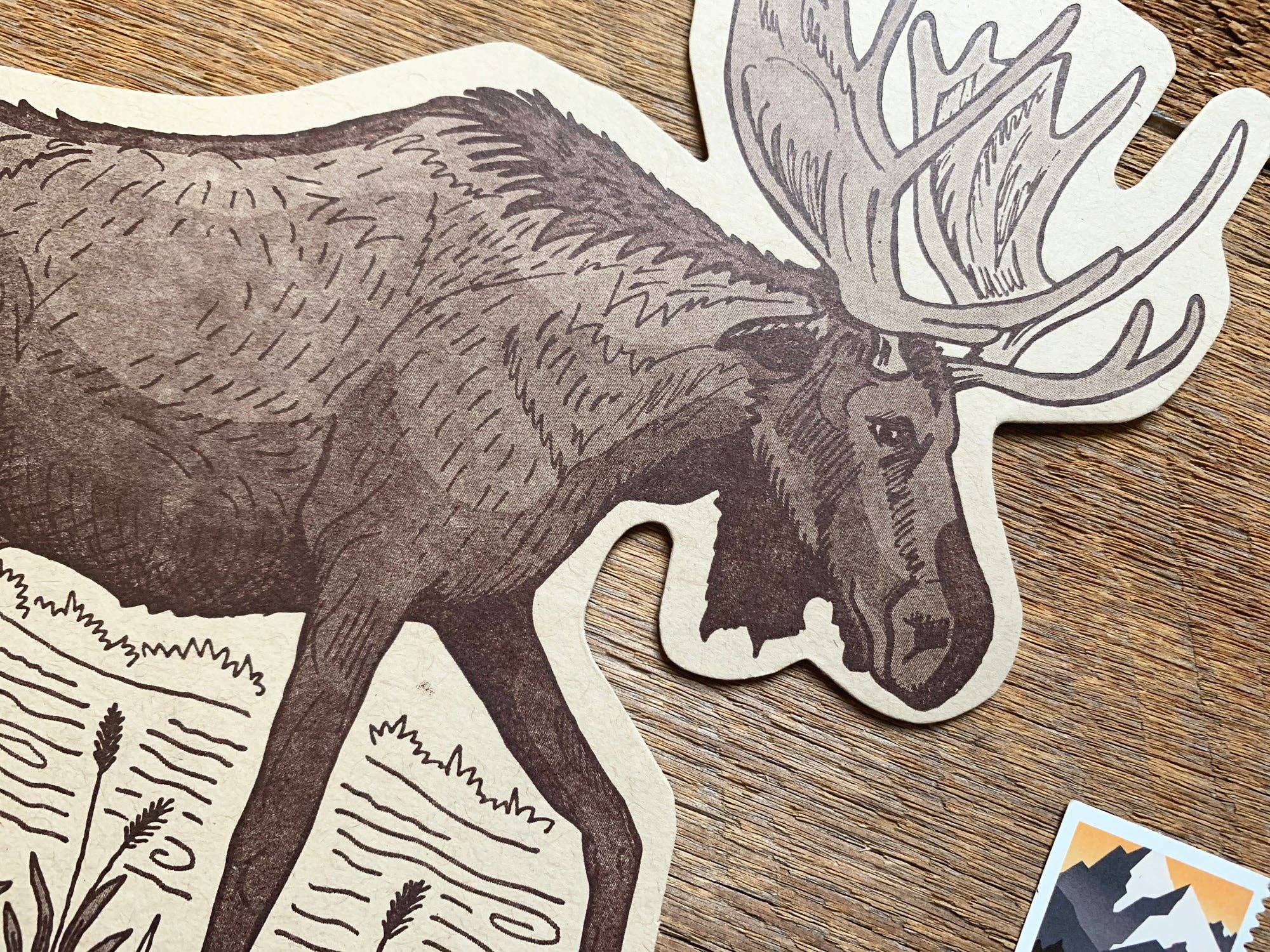 Noteworthy Paper & Press - Vente Cartes postales - Carte postale de l'orignal3