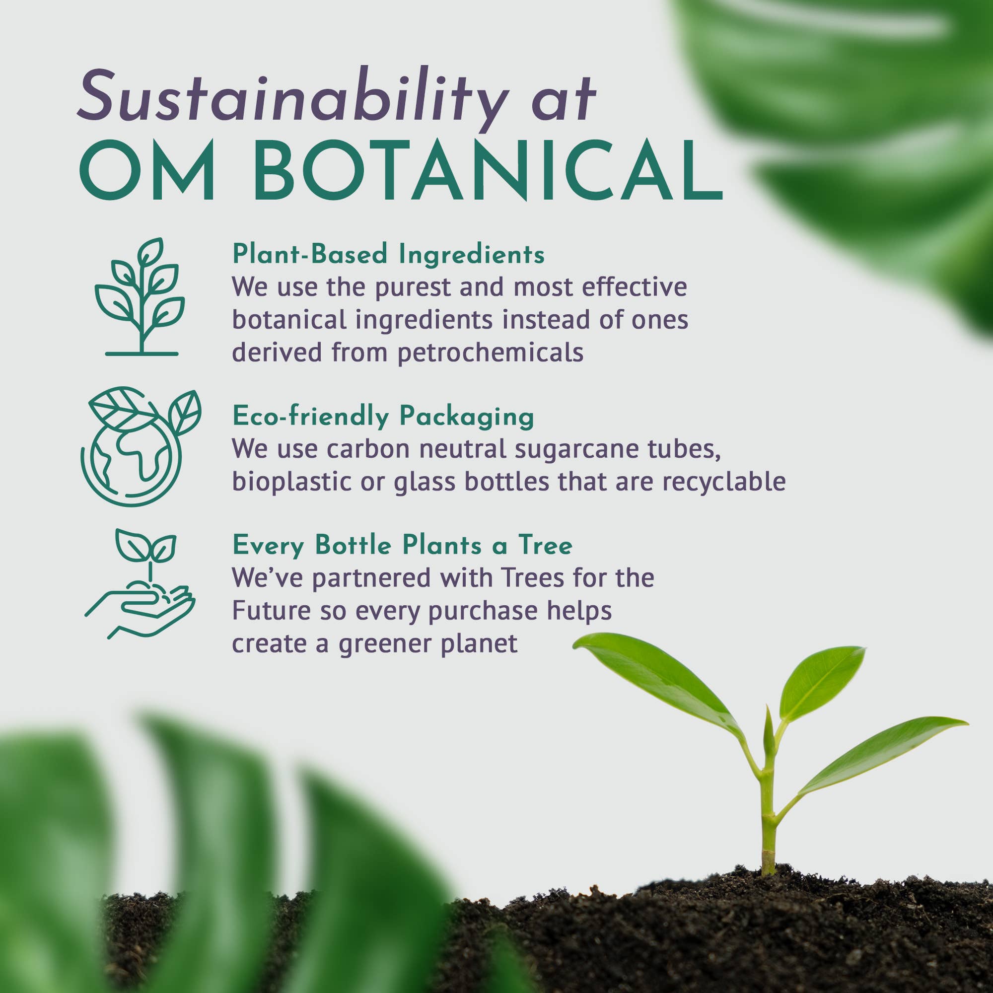 OM Botanical Plant-based Skin Care - Wholesale Eye Cream/Gel - Eye Cream with Peptides5