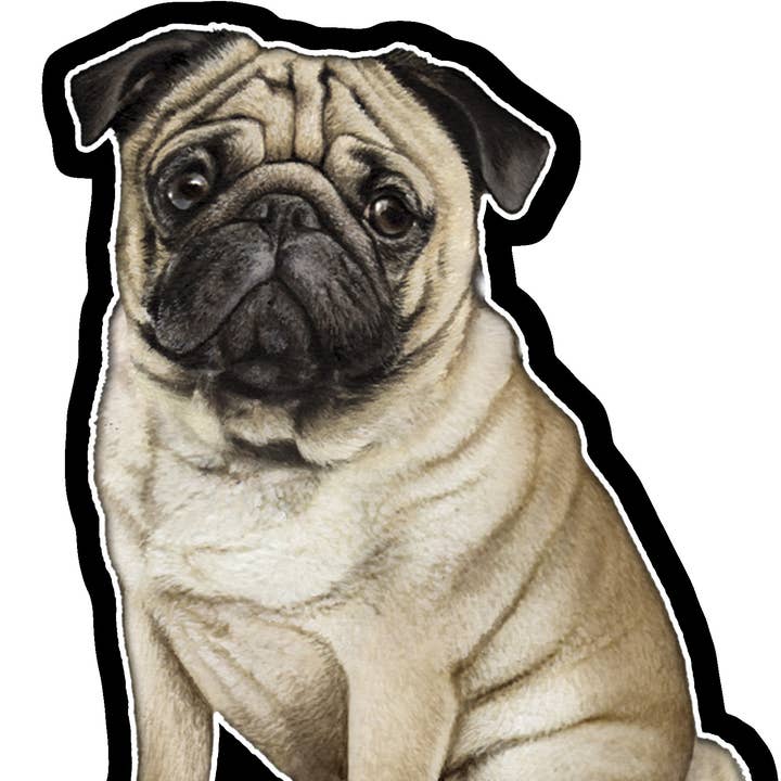 E&S Pets - Wholesale Sticker - Pug - Vinyl Stickers