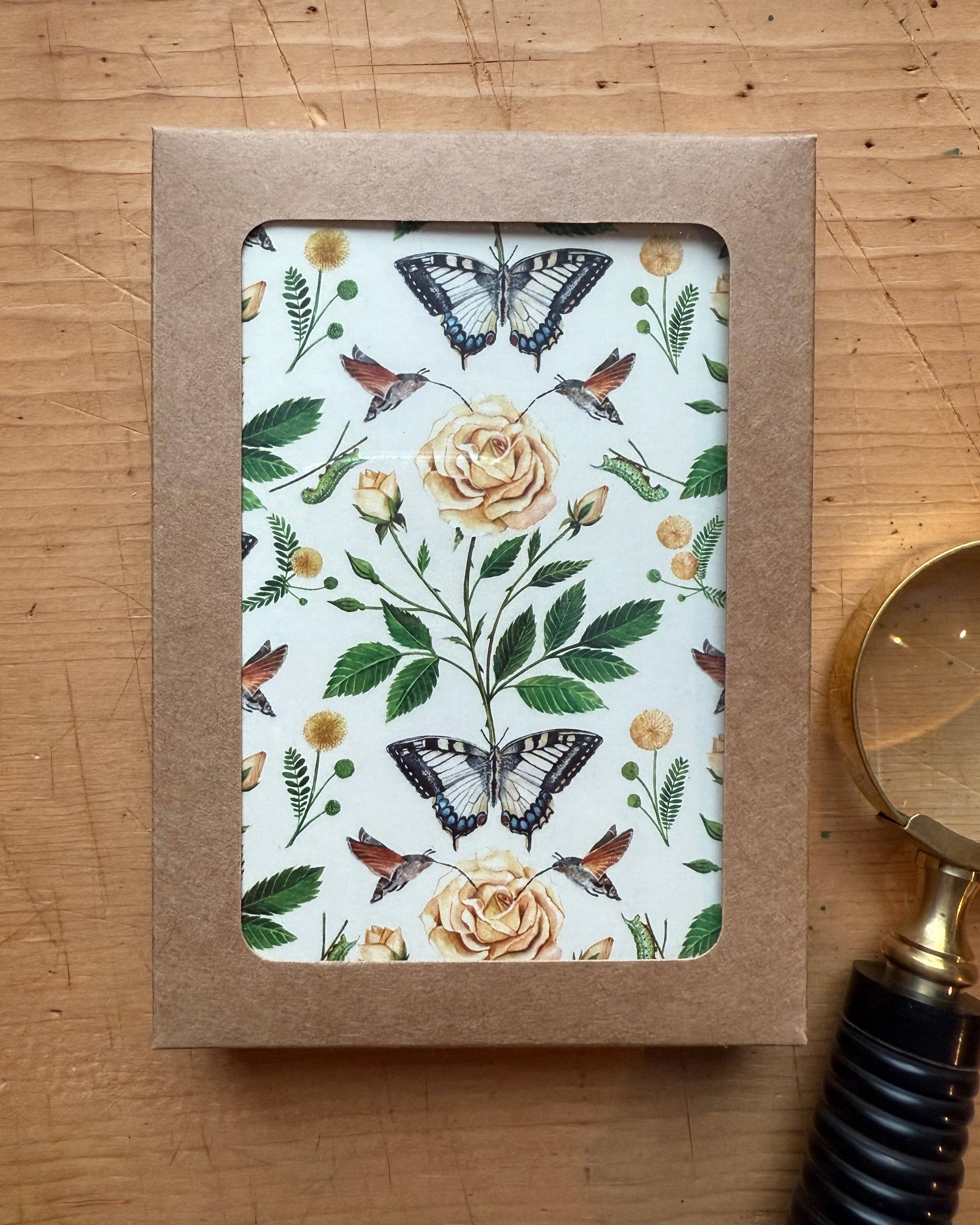 Cynthia Oswald - Wholesale Stationery/Notecard Set - Wild Garden Notecard Set – Box of 61