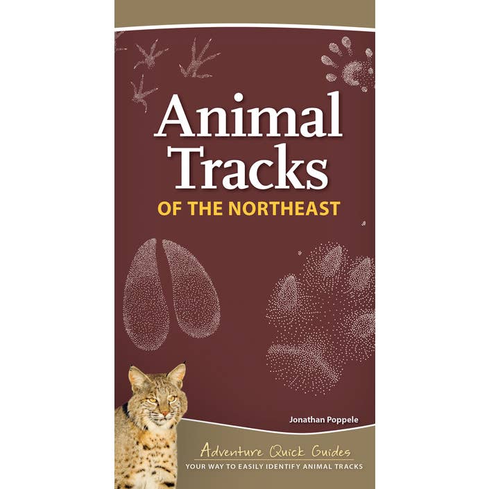 Guide rapide sur les traces d'animaux du nord-est pour la vente par AdventureKEEN