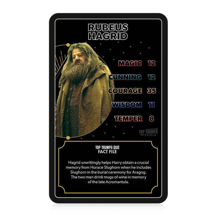Top Trumps USA, Inc. - Wholesale Card Game - Harry Potter Heroes of Hogwarts Top Trumps Card Game2