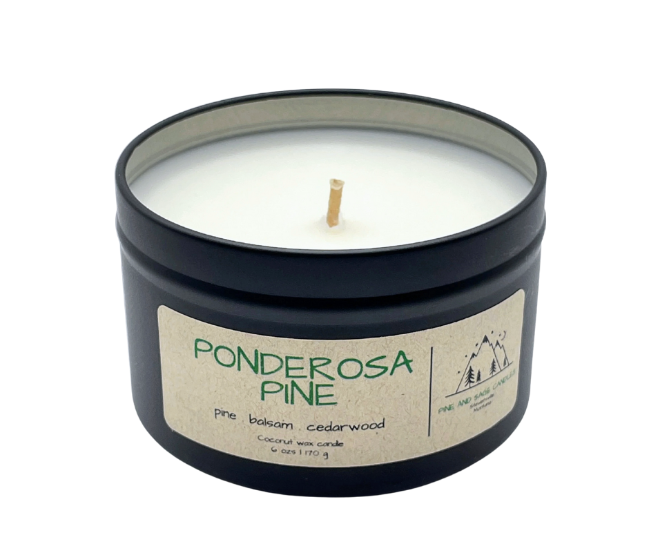 Pine and Sage Candles - Vente Bougies de voyage - Pin ponderosa - Bougie en boîte noire mate de 6 oz6