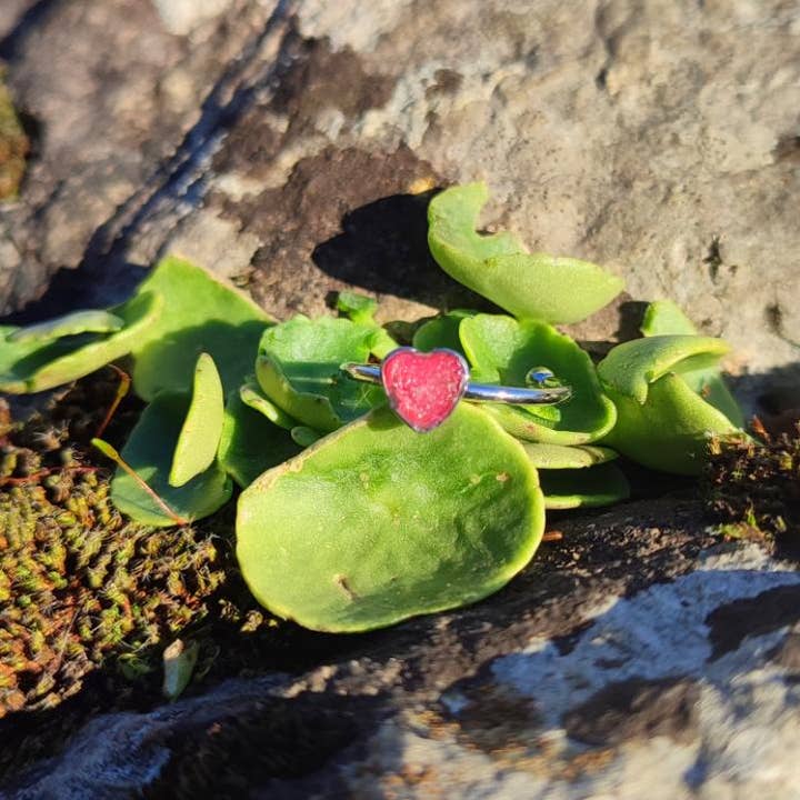 Kleiner Ring Rotes Herz Versilbert 💘Einzigartig Edelstahl 5mm für den Großhandel von Maroussia Bijou
