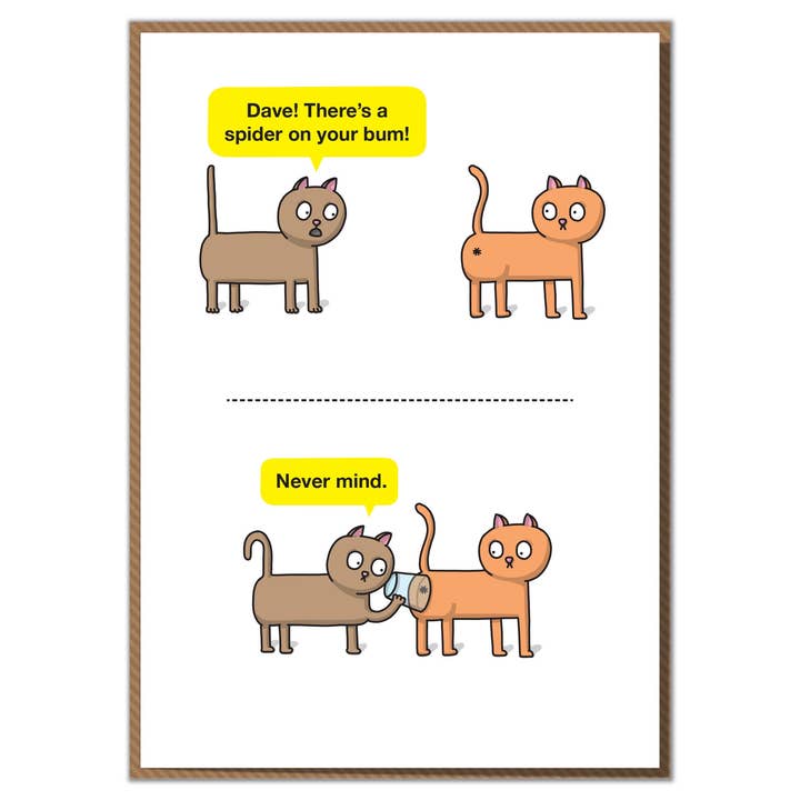 Dave! There's A Spider On Your Bum! Funny Birthday Card, Cat for wholesale by Mungo And Shoddy