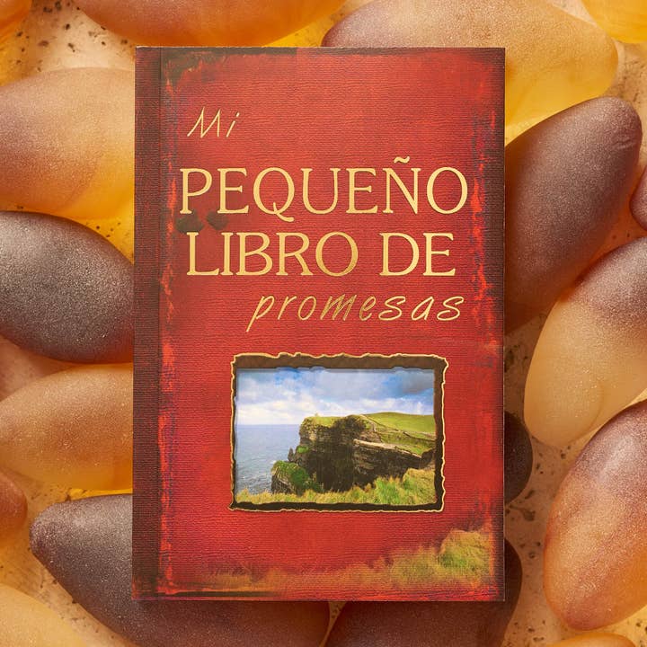 Christian Art Gifts - Wholesale Religion - Mi pequeno libro de promesas4