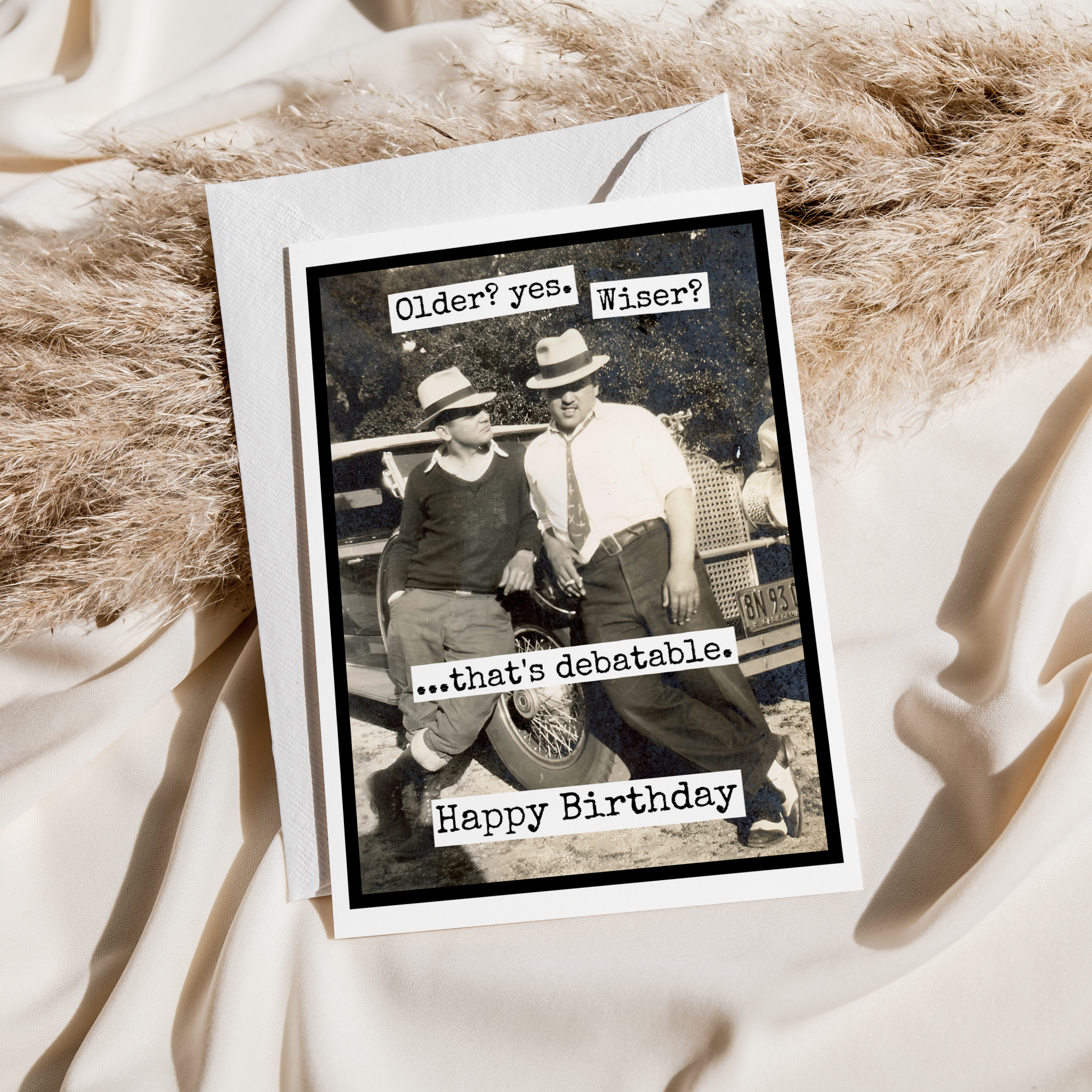Raven's Rest Studio - Wholesale Birthday Card - Funny Birthday Card For Man. Older? Yes. Wiser? Debatable1