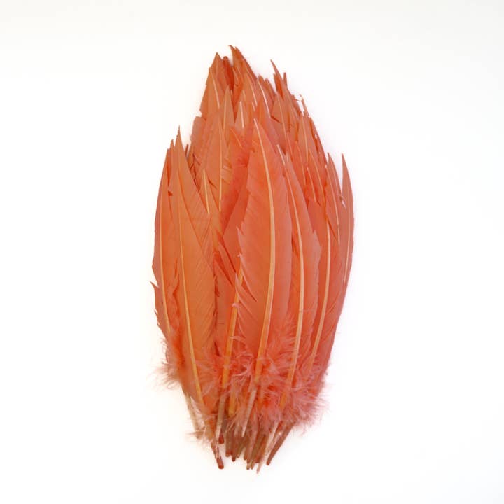 Dagger Turkey Quill Feathers 9-12"- Apricot Blush for wholesale by Zucker Feather Products