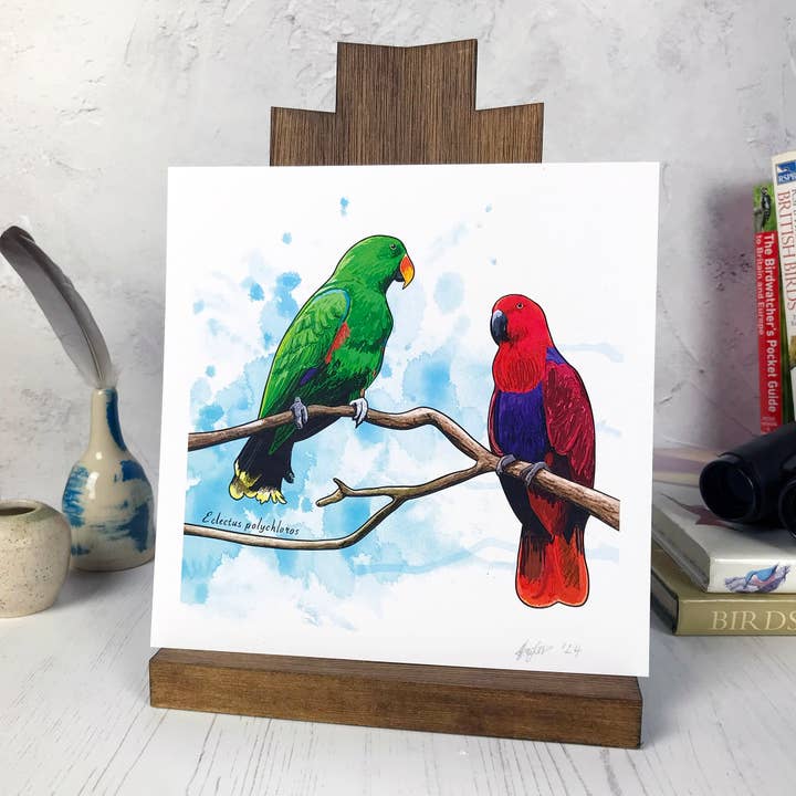 Loadofolbobbins - Wholesale Art Print - Eclectus Parrot Bird Print1