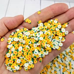 100pcs Polymer Clay Slices Pre- Punching DIY Slices for Craft (Mixed  Styles) 