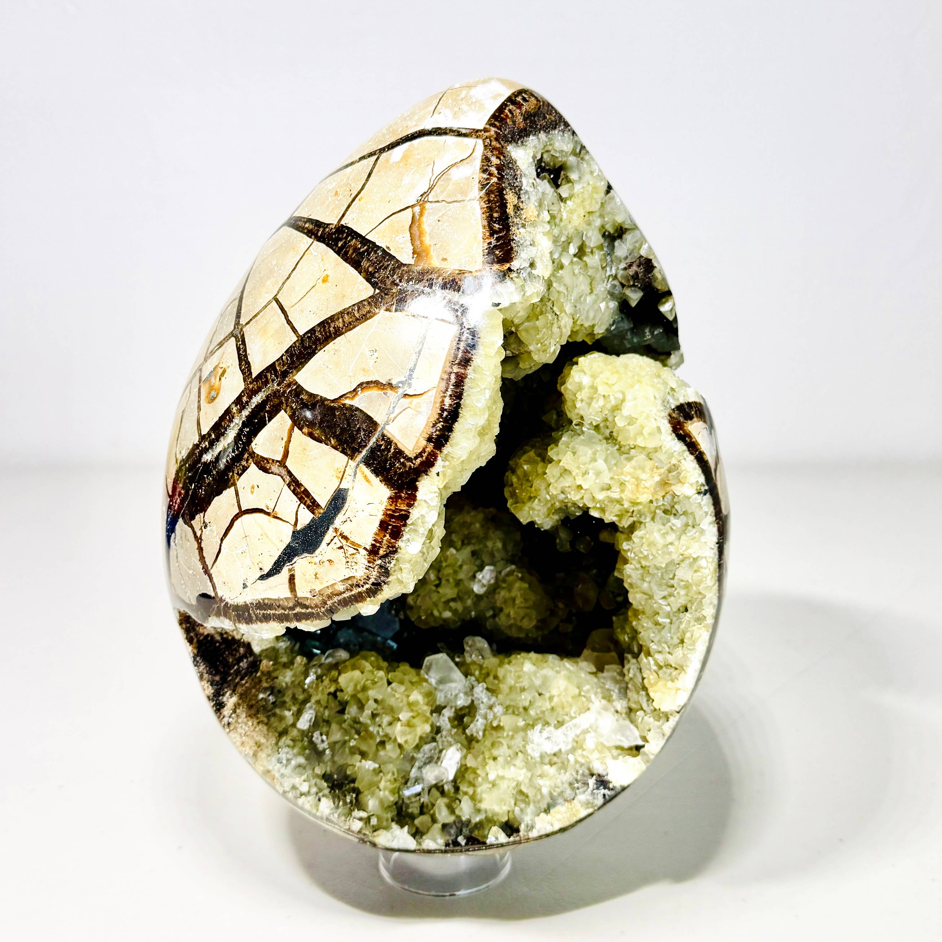 Kreateur Miami - Wholesale Spiritual Stone/Crystal - Septarian Dragon Stone Egg Geodes – 5 KG Mixed Lot 2