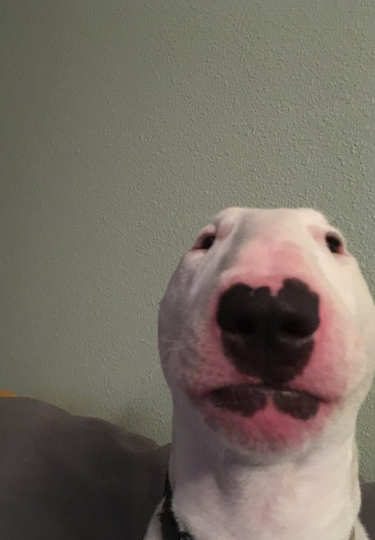 ElectraMakes - Venta al por mayor Llavero - Mujer - Llavero Meme Deslumbrante: Encanto de Bolsa Personalizable de Cultura Pop6