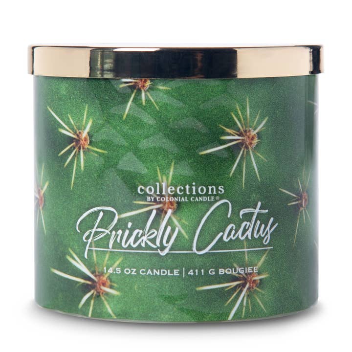 Vela Perfuta Prickly Cactus 411G por atacado de Colonial Candle DE