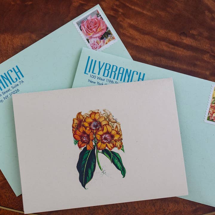 Lilybranch – Engroshandel Brevpapir/sæt med noteskort – Et dusin blomster Notecards på dejlige Shimmery elfenben karton