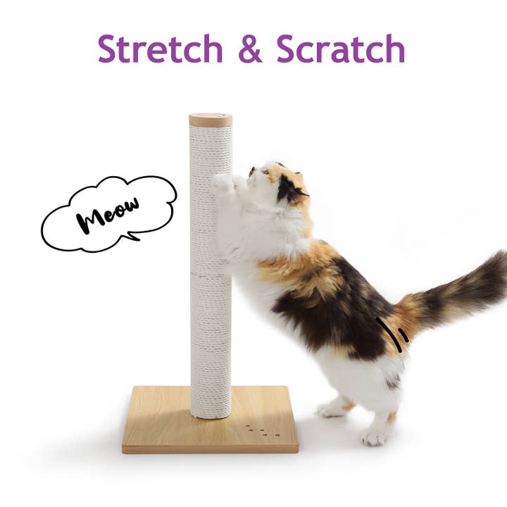 MOON-X USA, INC. - Wholesale Pet Scratcher - Cat - Premium Comfort Scratching Post3