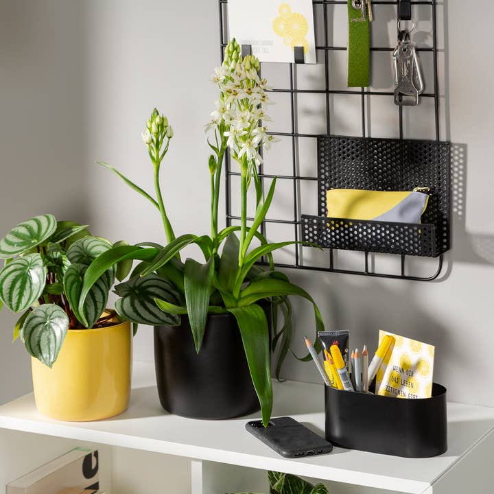 Scheurich - Wholesale Plant Pot - Set of 2 Solido 900 ceramic planters2