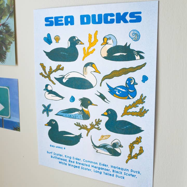 Camp Mustelid - Wholesale Art Print - Sea Ducks Risograph Print2