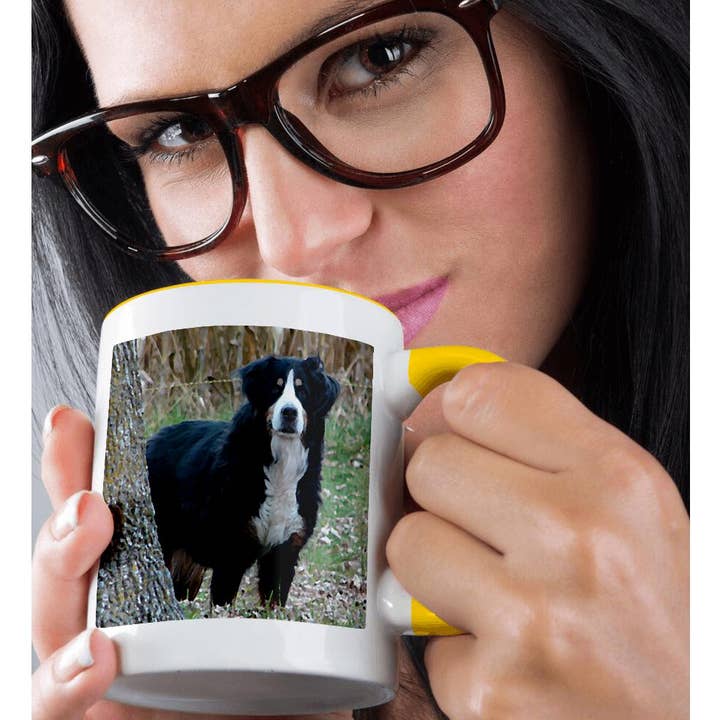 3dRose - Wholesale Coffee Mug - 3dRose, Bernese Mountain Dog, Mug1