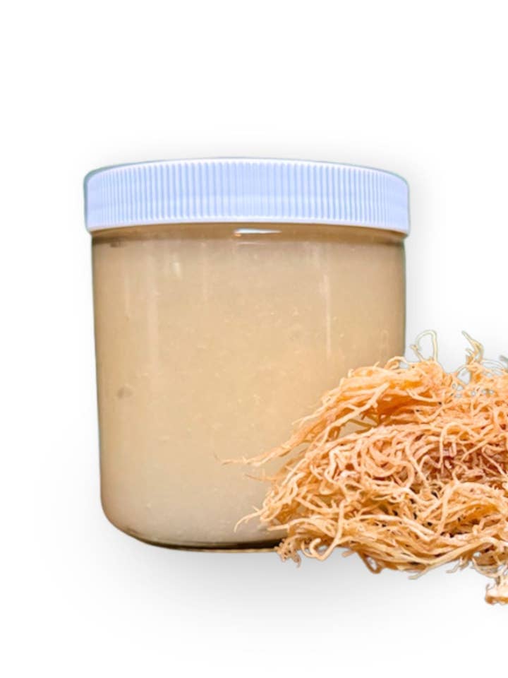 Vildhøstet specialsmag havmosgelé for engroshandel hos Dragon Spirit Health