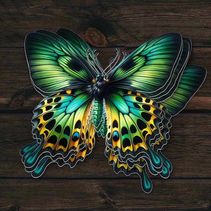 Green Butterfly Vinyl Sticker | Insect Nature Decal | Art for wholesale by PiggyPrintStickers