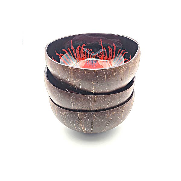 Bamboo Spirit - Wholesale Decorative Plate/Dish/Bowl - Coconut Bowl painted Feathers8