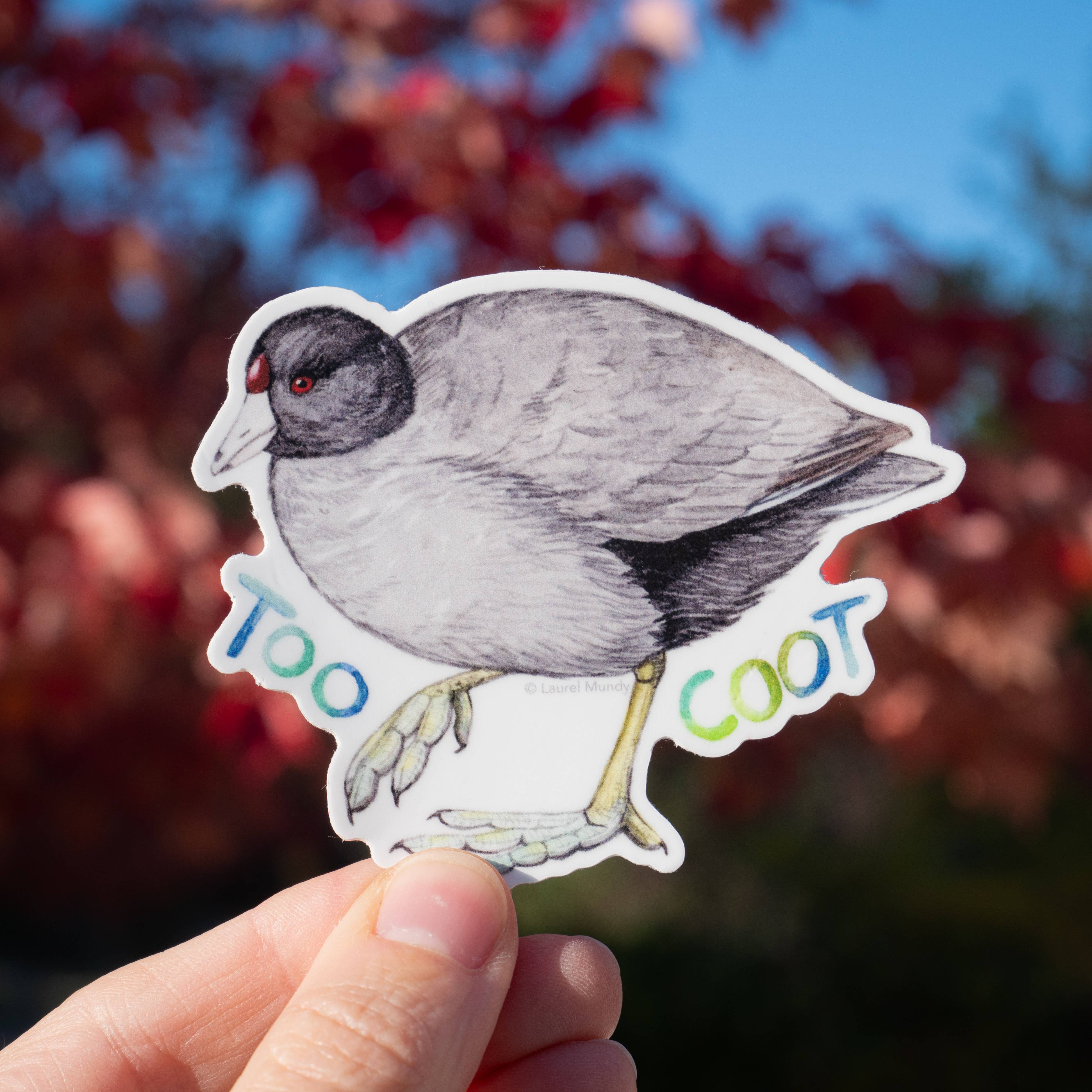 Laurel Mundy Illustration - Wholesale Sticker - Too Coot! American Coot 3" Medium Vinyl Sticker2