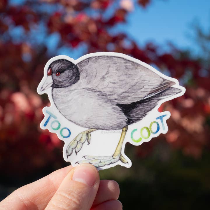 Laurel Mundy Illustration - Wholesale Sticker - Too Coot! American Coot 3" Medium Vinyl Sticker2