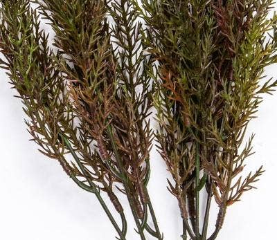 KMI International Corp. – wholesale Artificial plant – Wild Grass, 14in, Brown, Green0