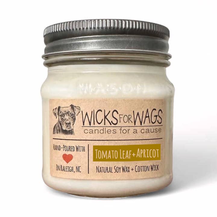 Tomato Leaf + Apricot | 8 oz Standard Mason Jar Soy Candle for wholesale by Wicks for Wags