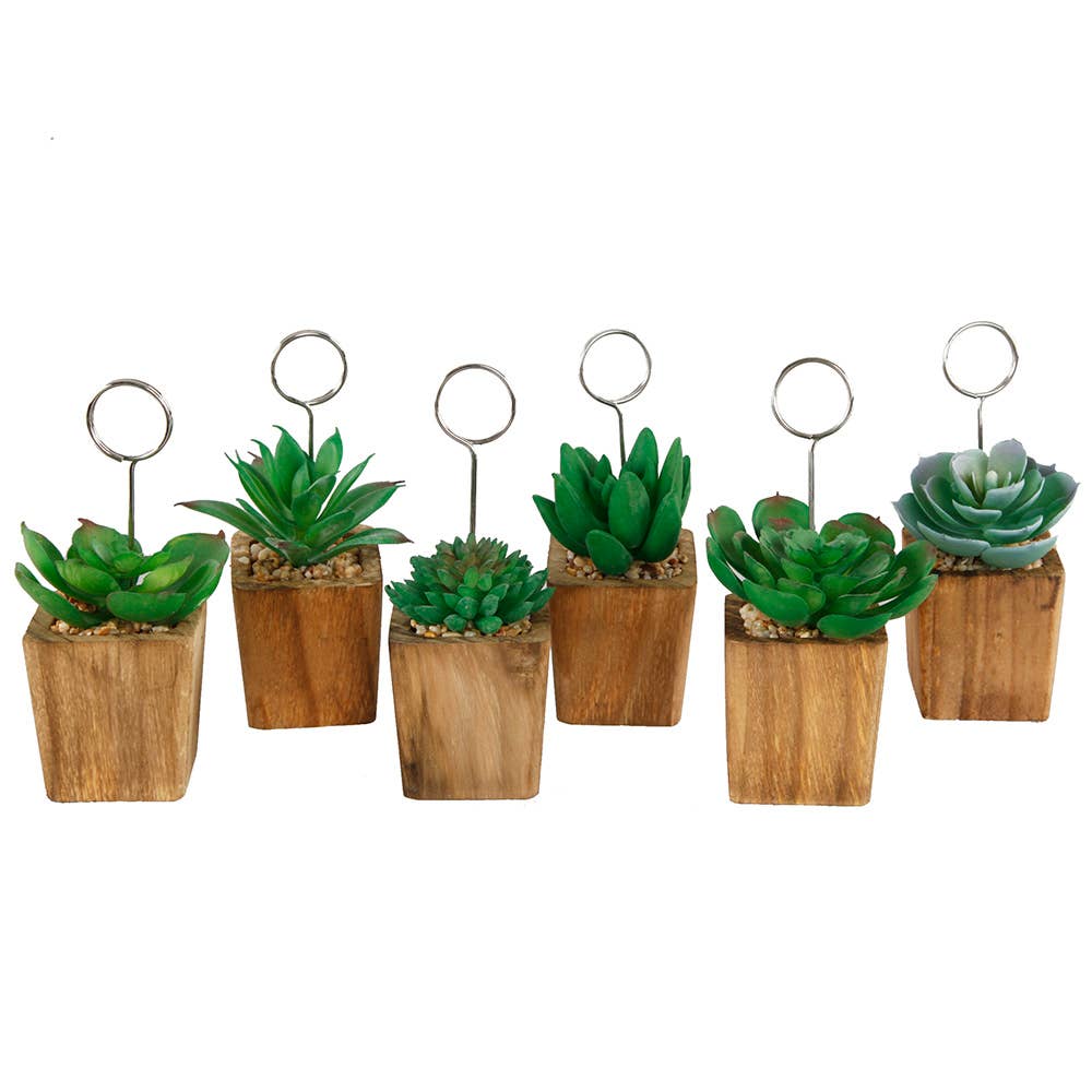 Flora Bunda Inc - Wholesale Place Card / Place Holder - Mini Succulent Memo Clip – Set of 40