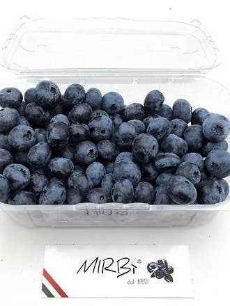 Mirtillo Biologico 1Kg (24H Dal Raccolto) per la vendita all'ingrosso da parte di MIRBÌ dal 1990