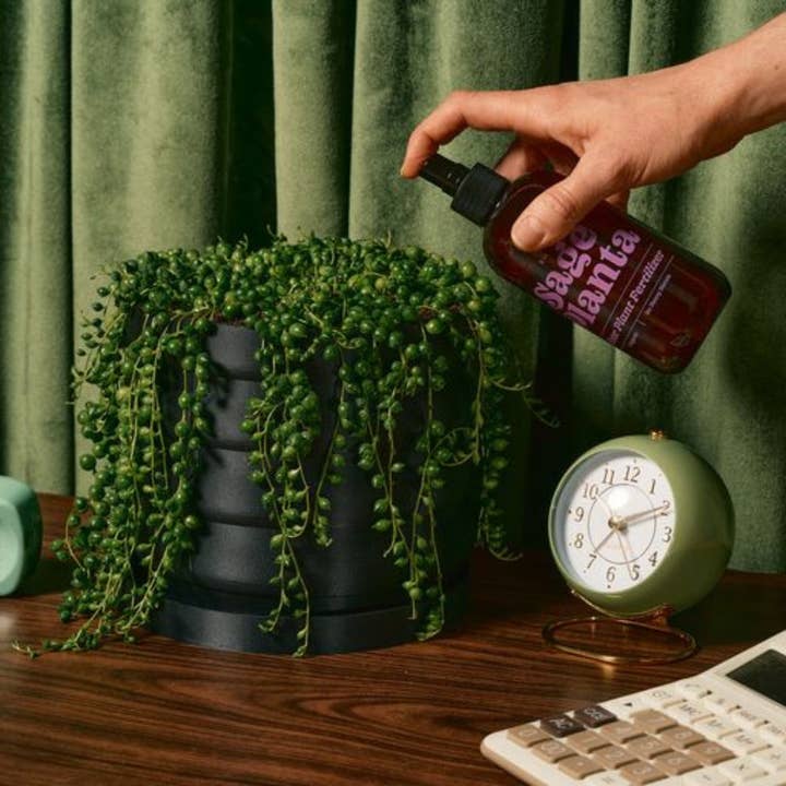 Sage Planta - Wholesale Fertilizer - Indoor Plant Fertilizer Spray1
