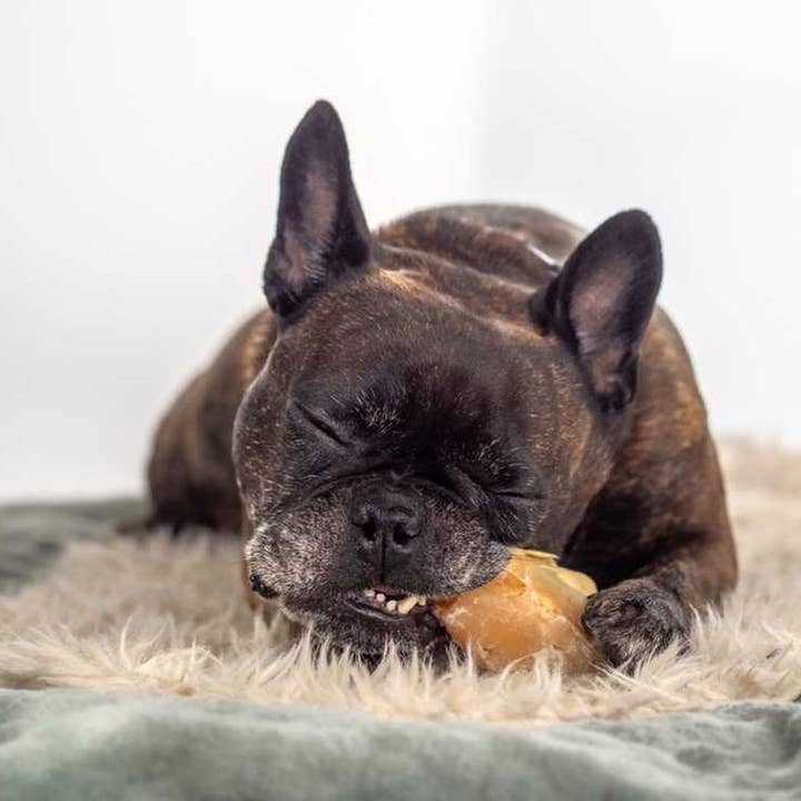 Kivo Petfood - Vendita all'ingrosso Snack - Cani - Snack per cani - Zoccoli di vitello - 10 pezzi3