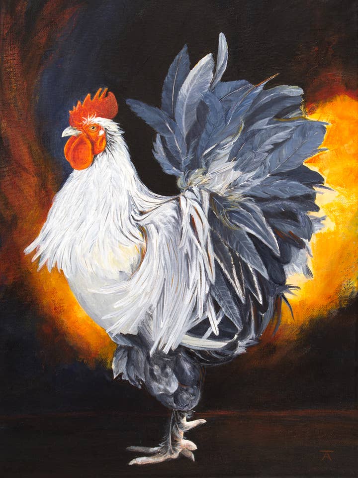The Last Tango - Chicken Print for wholesale by Tracy L Anderson