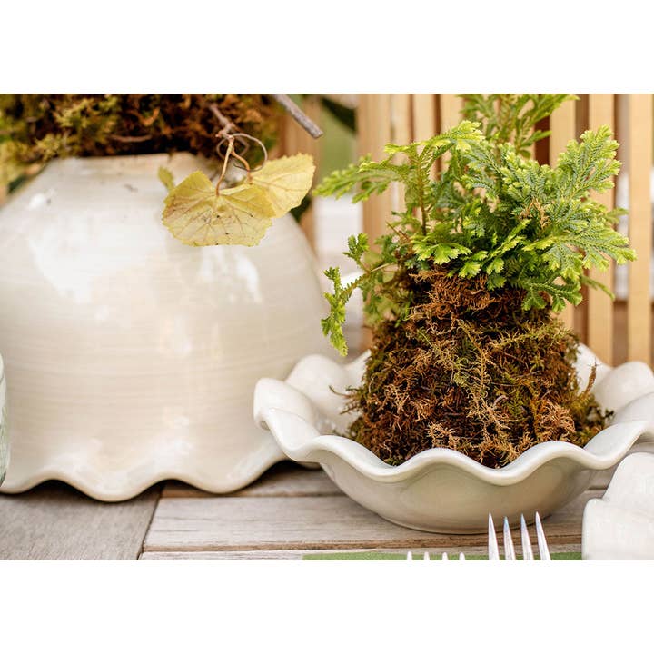 Coton Colors - Wholesale Bowl - Signature White Ruffle Flare Small Bowl3