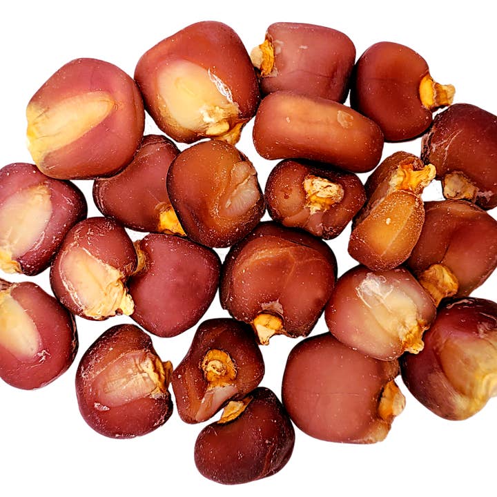 Heirloom Posole/Hominy Bulk Sizes – Dried and other Purchase Wholesale dehydrated beans. Free Returns & Net 60 Terms on Faire trending on Faire.